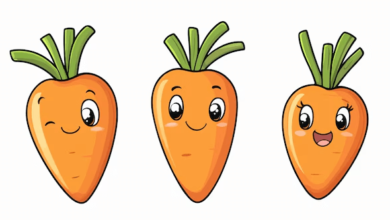 Outline:1craob3rgu8= Carrot