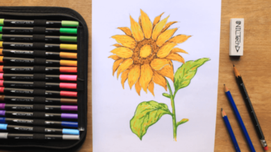 Drawing:8k5w6zpyigq= Easy:7nqvopeivx0= Sunflower