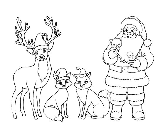 Printable:8ukftumgksc= Reindeer Coloring Page