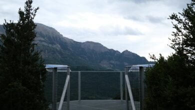 elevate your online services